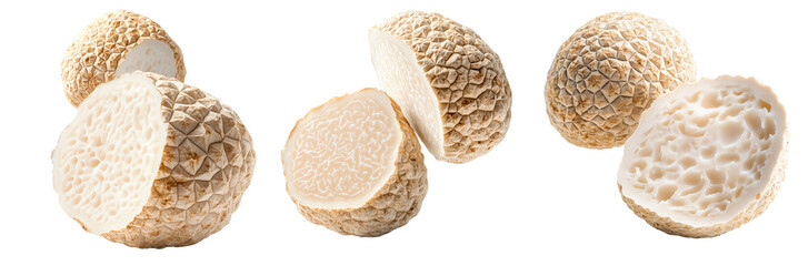 Obraz premium Set of white alba truffles isolated on white transparent background, great for culinary and gourmet themes.
