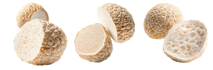 Set of white alba truffles isolated on white transparent background, great for culinary and gourmet themes.