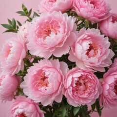 bouquet of pink roses, bouquet of roses