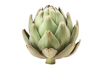 Fototapeta premium Single fresh green artichoke with detailed texture isolated on white transparent background. Concept of healthy eating, organic food, and vegetarian diet