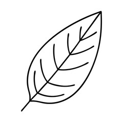 leaf icon, leaf vector illustration-simple illustration of leaf, perfect for leaf logos and icons
