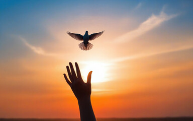 silhouette of hands and dove of peace against sunset, concept world peace, stop war