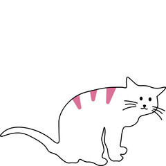 Hand Drawn Cat