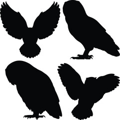 Black and White Owl Silhouettes with Spread Wings and Perched Poses in Minimalist Vector Style – Stylized Nocturnal Bird of Prey Graphic Illustration with Monochrome Contrast