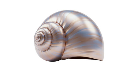 Isolated Iridescent Seashell with Spiral