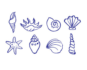Seashells drawing vector illustration nautical motif. Boho style background with conches for template, restaurant, logo, print, card, invitation, poster. Symbols for beach, sea, seafood, summer