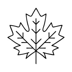 maple leaf icon, maple leaf vector illustration-simple illustration of maple leaf, perfect for maple leaf logos and icons