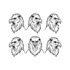 Eagle Head Vector Set – Multiple Angles in Black and White Line Art