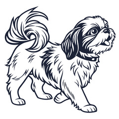 Line Art of Shih Tzu Dog Breed with Black Collar Walking on a White Background