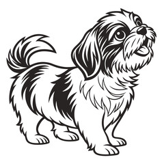 Stylized Shih Tzu Illustration, Black and White Breed Portrait, Cute Cartoon Dog Art
