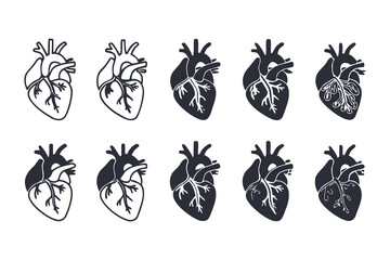 Fototapeta premium Anatomical Heart Vector Silhouette Icon Set. Human Heart, Cardiovascular System, Heartbeat, Medical Anatomy, Health, Biology, Organ, and Cardiology Illustrations