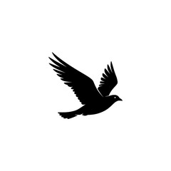 vector illustration of an Bird 