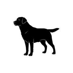 black dog silhouette