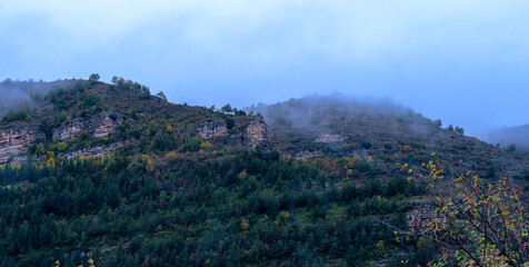 Fototapeta premium Foggy forest panoramic photography at the mountain range