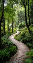 Obraz premium Serene forest path a wooden boardwalk winding through lush greenery