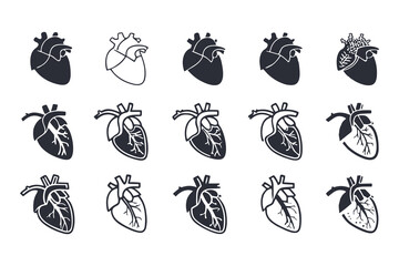 Fototapeta premium Anatomical Heart Vector Silhouette Icon Set. Human Heart, Cardiovascular System, Heartbeat, Medical Anatomy, Health, Biology, Organ, and Cardiology Illustrations