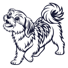 Happy Shih Tzu Dog with Open Mouth, Walking, Cute Fluffy Puppy, Monochrome Outline