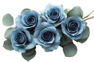 Blue roses bouquet top view on transparent background PNG