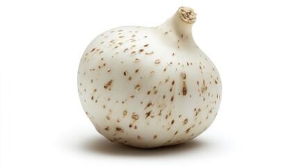 Single, off-white bulb with brown speckles