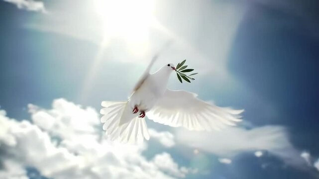 White dove of peace carrying an olive branch flying up towards bright heavenly light in a blue sky with clouds, symbolizing hope, freedom, faith, spirituality, reconciliation, purity and new beginning