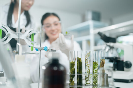 Algae microbiology research in a biotechnology laboratory explores alga-based biofuel and algal innovations as sustainable alternatives to traditional energy and fuel solutions