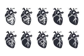 Anatomical Heart Vector Silhouette Icon Set. Human Heart, Cardiovascular System, Heartbeat, Medical Anatomy, Health, Biology, Organ, and Cardiology Illustrations