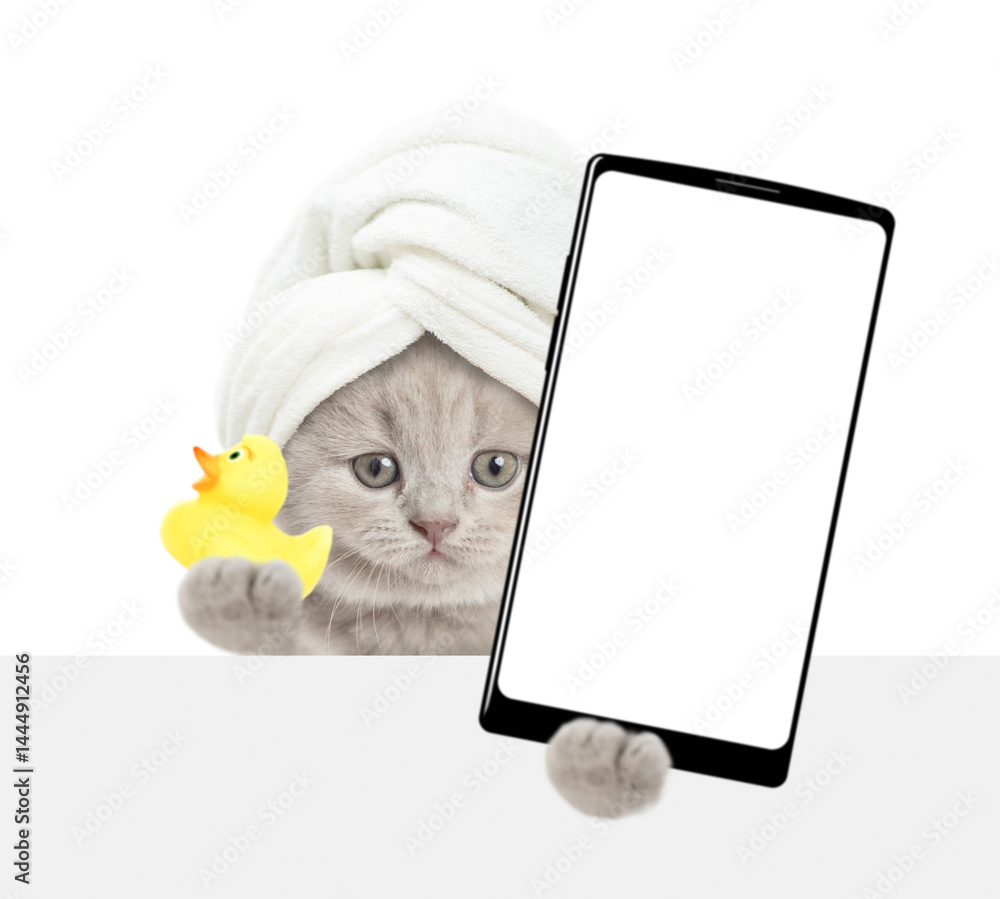 Aufkleber cute tiny kitten with towel on it head holds rubber duck and big smartphone with white blank screen 