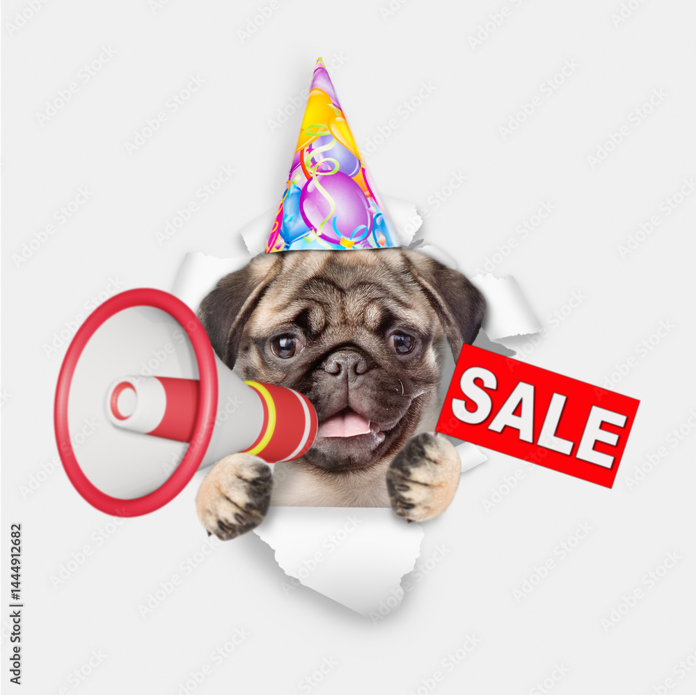 Aufkleber funny pug puppy wearing party cap barking looks through a hole in white paper into a megaphone and s
