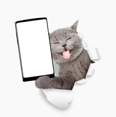 Happy cat with tongue out holding big smartphone with white blank screen through torn white paper hole. Empty free space for mock up