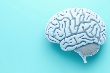Human Brain Model with Detailed Pathways on Soft Blue Background