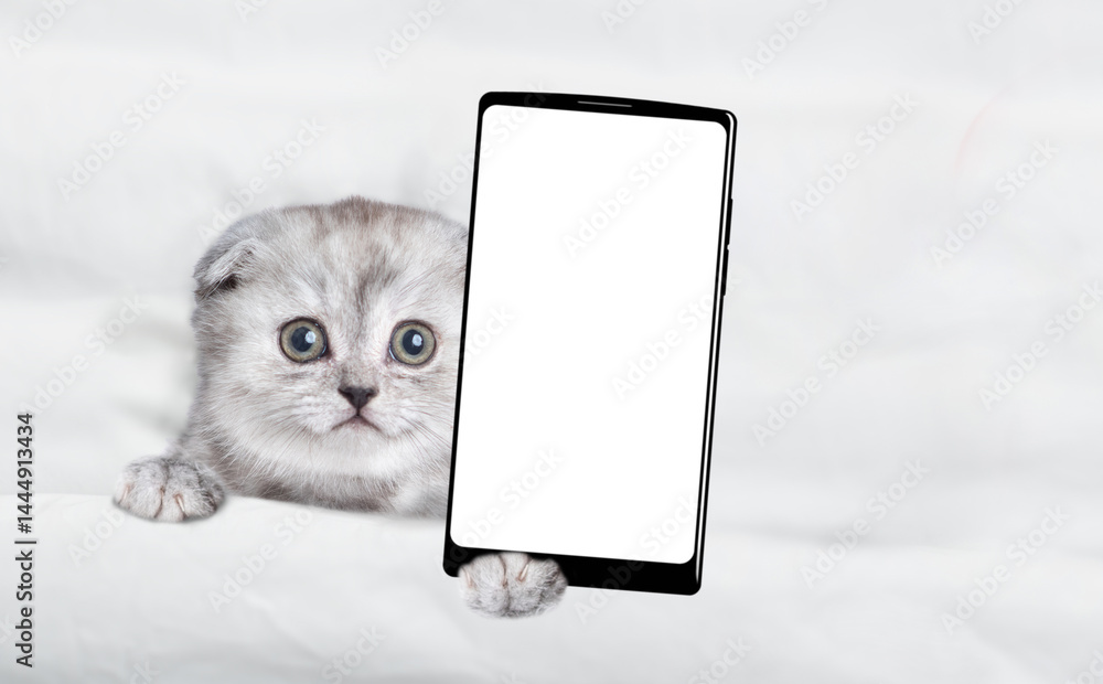 Fototapete Cute kitten lying on a bed at home and showing big smartphone with white blank screen in it paw. Top down view. Empty space for text