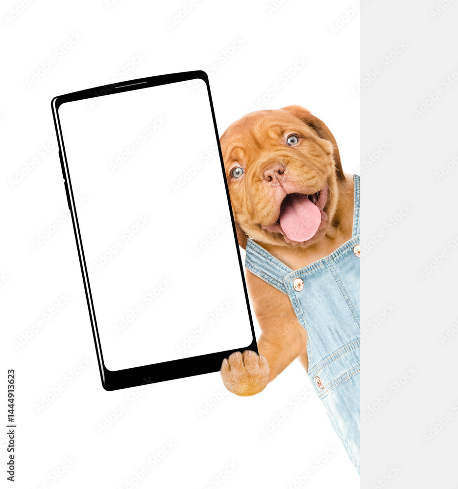 Aufkleber happy mastiff puppy wearing denim overalls shows big smartphone with blank screen behind blank wihte