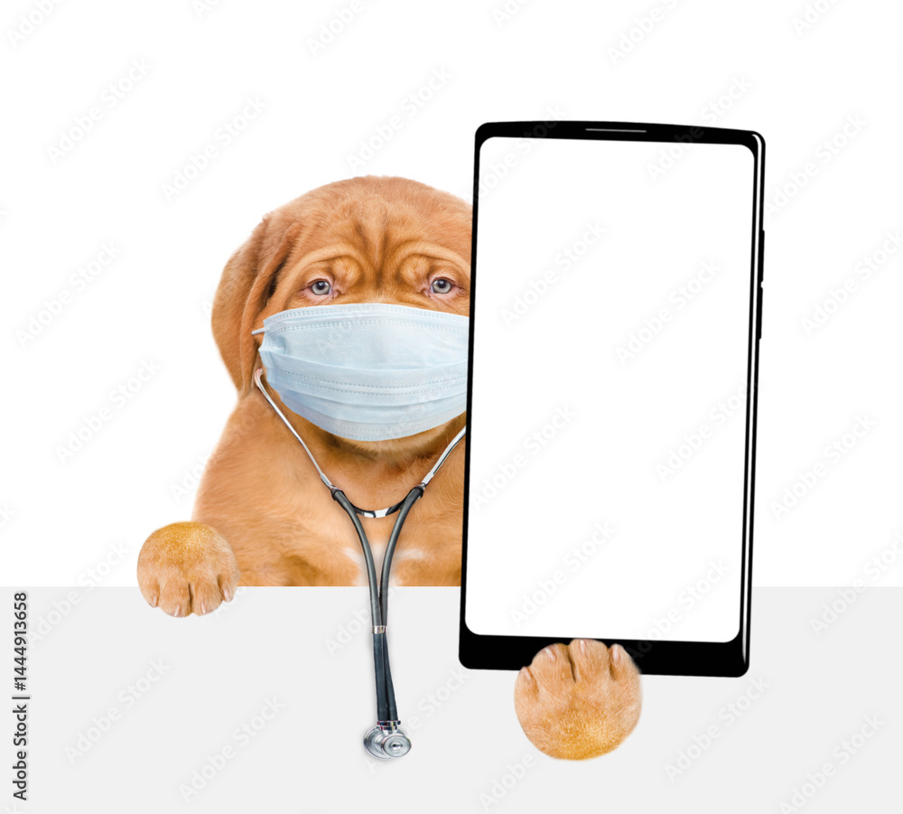 Poster Smart Mastiff puppy wearing like a doctor with stethoscope and protective mask showing big smartphone with white blank screen in it paw above blank white banner. isolated on white background