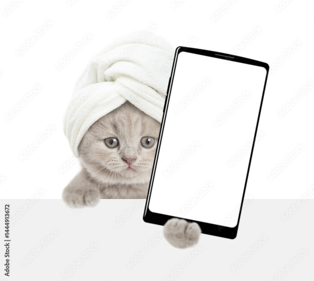 Poster cute tiny kitten with towel on it head holds big smartphone with white blank screen in it paw above 
