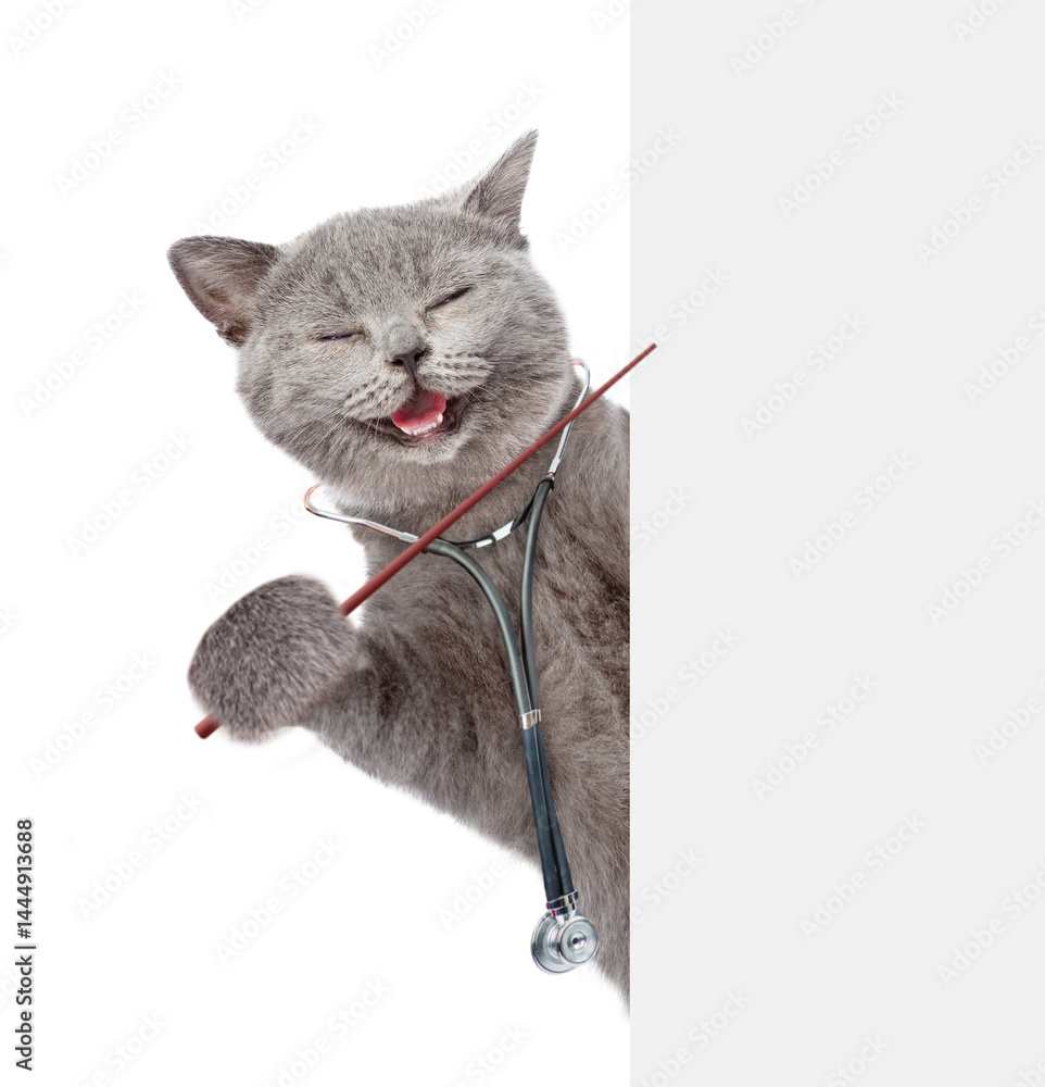 Poster happy smart cat dressed like a doctor with stethoscope on his neck looks from nehind blank white ban