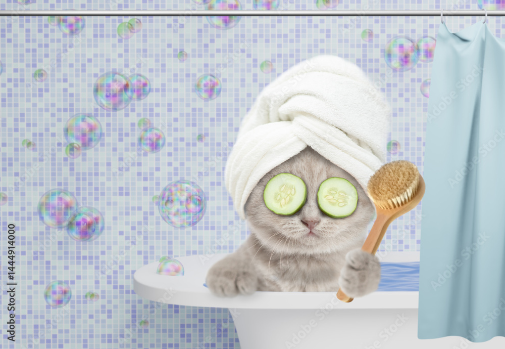 Aufkleber Cute kitten with towel on it head and slices of cucumber on it eyes takes the bath at home, holds shower brush. Empty space for text