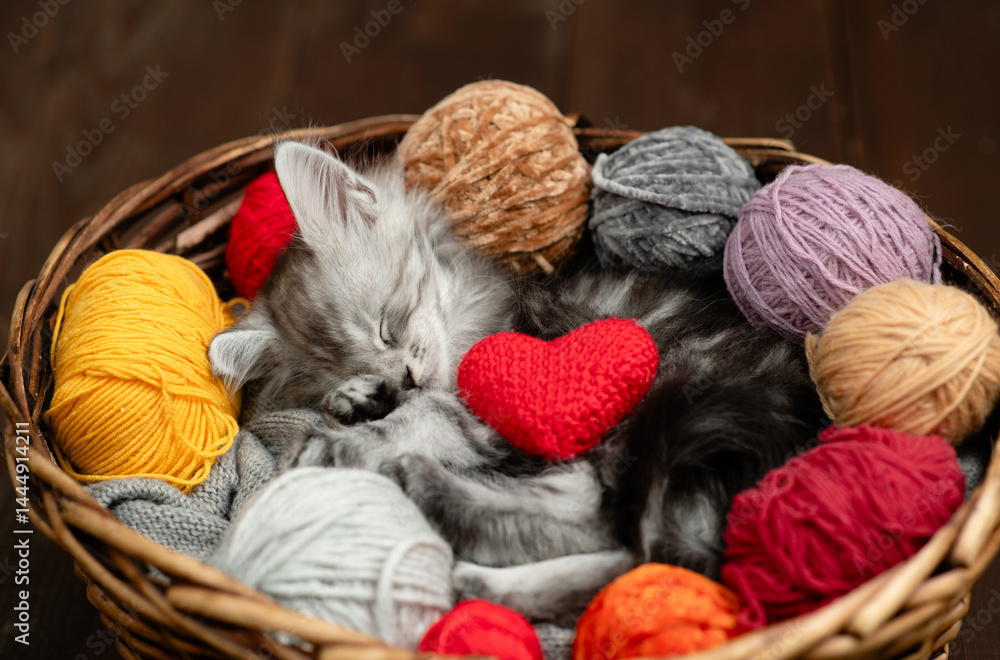 Poster cozy maine coon kitten hugs ball of thread and sleeps inside a basket with red heart and many clews 