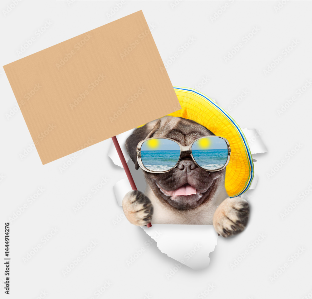 Poster Happy Pug puppy wearing mirrored sunglasses and summer hat looking through the hole in white paper and showing blank placard. Empty space for text