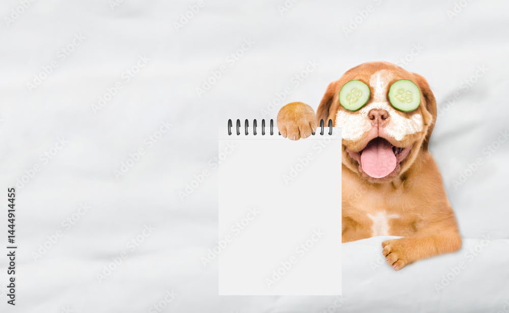Aufkleber Funny Mastiff puppy with pieces of cucumber on it eyes relaxing on the bed at home and showing empty list. Top down view. Empty space for text