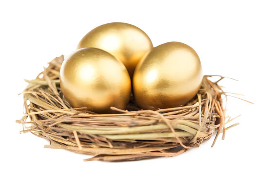 Golden Eggs in a Nest: A close-up shot of shiny golden eggs nestled securely within a rustic bird's nest, symbolizing wealth, investment, and isolated on white background PNG