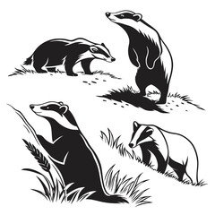 Black and White Badger Set, Standing, Walking, Sitting in Grass, Simple Animal Silhouettes © Shipon