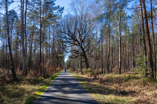 Radweg