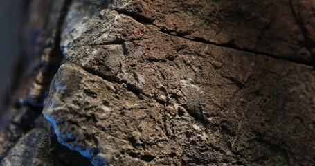 Close-up of rough stone texture with mixed lighting and earthy surface cracks