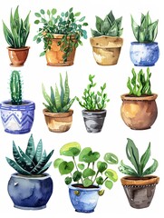 Fototapeta premium Green plants in pots. Flowerpot.