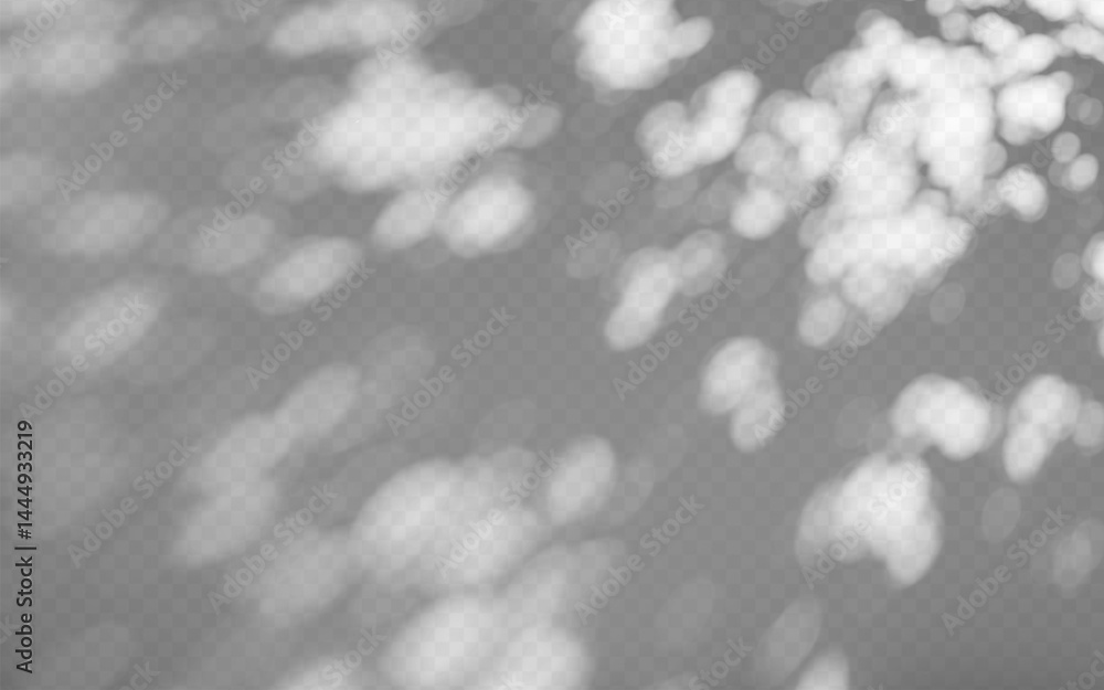 Sticker abstract shadow overlay from foliage on a transparent background.