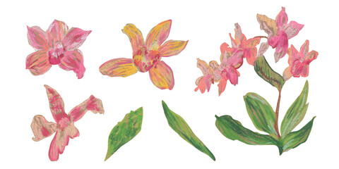 Spring clip art of orchid flowers drawn with wax crayons on white isolated background. Children's botanical collection of oil pastel illustrations. Designs for greeting cards, stickers, posters.