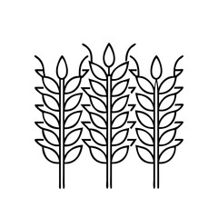 wheat icon icon, wheat icon vector illustration-simple illustration of wheat icon, perfect for wheat icon logos and icons