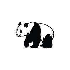 Giant Panda Bear Black and White Illustration