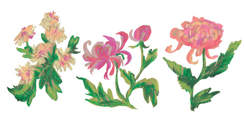 Spring clip art of chrysanthemum flowers drawn with wax crayons on white isolated background. Children's botanical collection of oil pastel illustrations. Designs for greeting cards, stickers,posters.