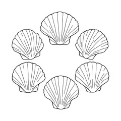 Intricate White Sea Jacobean Scallop Shell Vector Illustration